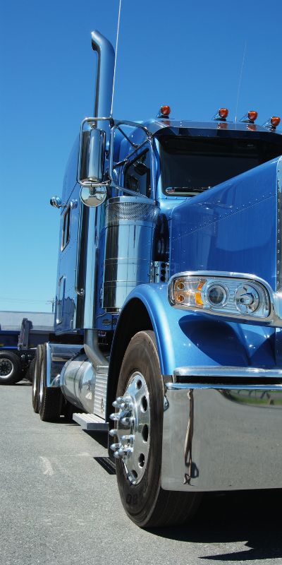 Logistics chuyên nghiệp