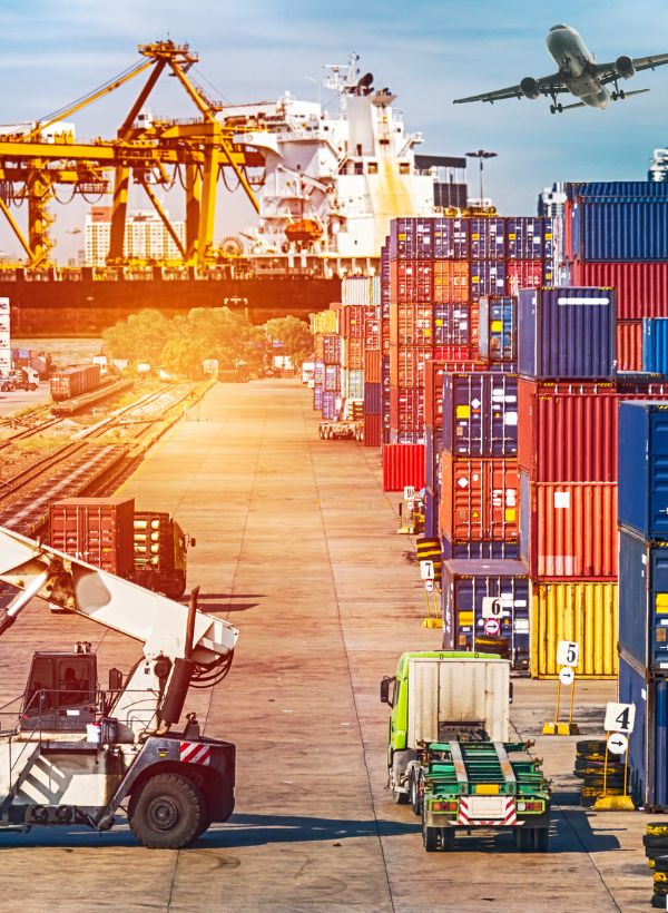 Vận chuyển quốc tế chuyên nghiệp